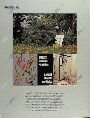 BLANCO Y NEGRO MADRID 15-10-1995 página 36