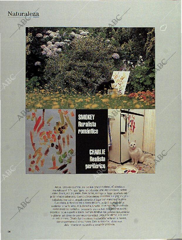 BLANCO Y NEGRO MADRID 15-10-1995 página 36