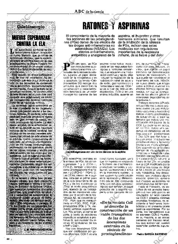 CULTURAL MADRID 29-12-1995 página 44