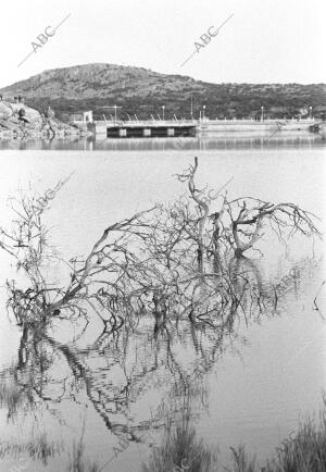 embalse de el Torcón