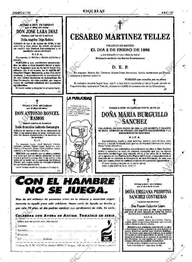 ABC SEVILLA 06-01-1996 página 87
