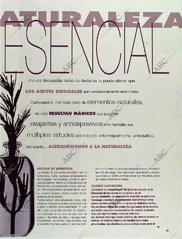 BLANCO Y NEGRO MADRID 17-03-1996 página 81