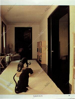 BLANCO Y NEGRO MADRID 28-07-1996 página 77