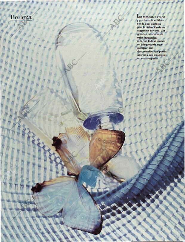 BLANCO Y NEGRO MADRID 28-07-1996 página 84