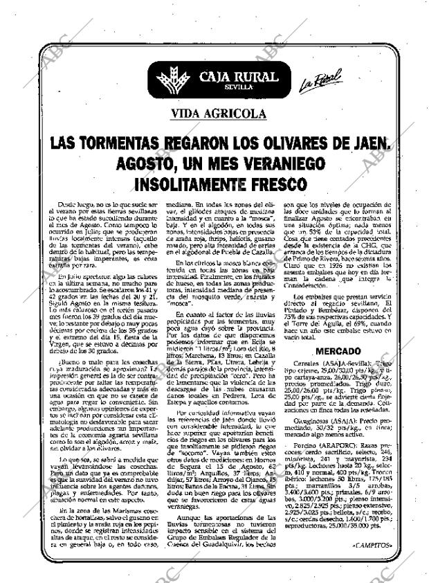 ABC SEVILLA 03-09-1996 página 2