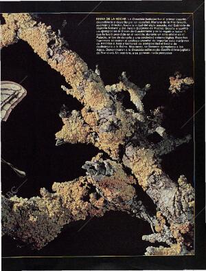 BLANCO Y NEGRO MADRID 22-09-1996 página 65