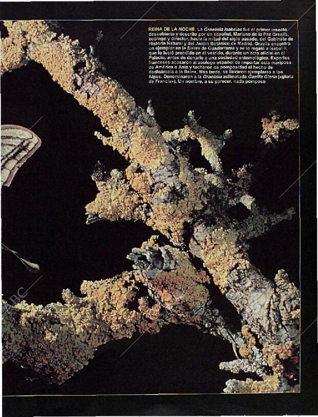 BLANCO Y NEGRO MADRID 22-09-1996 página 65