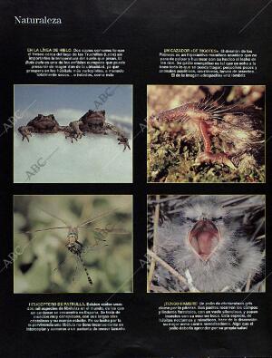 BLANCO Y NEGRO MADRID 22-09-1996 página 66