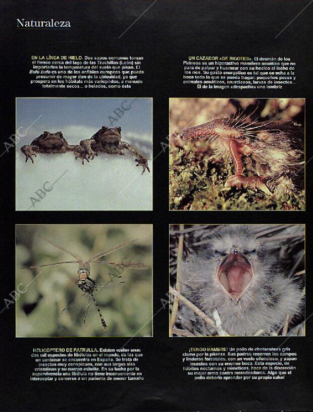 BLANCO Y NEGRO MADRID 22-09-1996 página 66