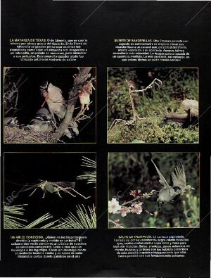 BLANCO Y NEGRO MADRID 22-09-1996 página 67