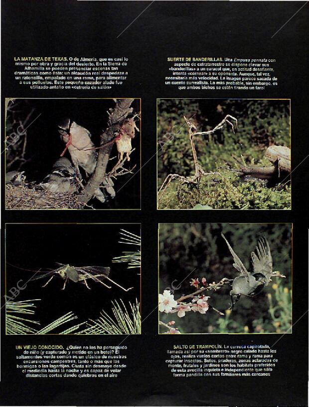 BLANCO Y NEGRO MADRID 22-09-1996 página 67