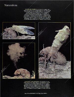 BLANCO Y NEGRO MADRID 22-09-1996 página 68