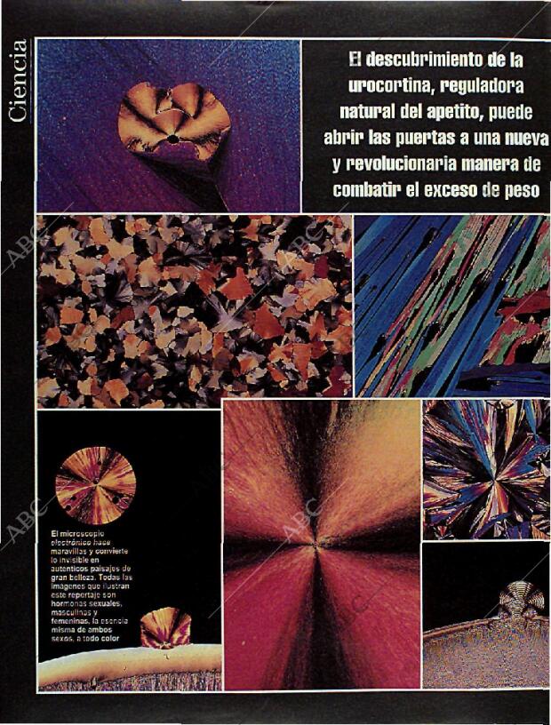 BLANCO Y NEGRO MADRID 06-10-1996 página 18