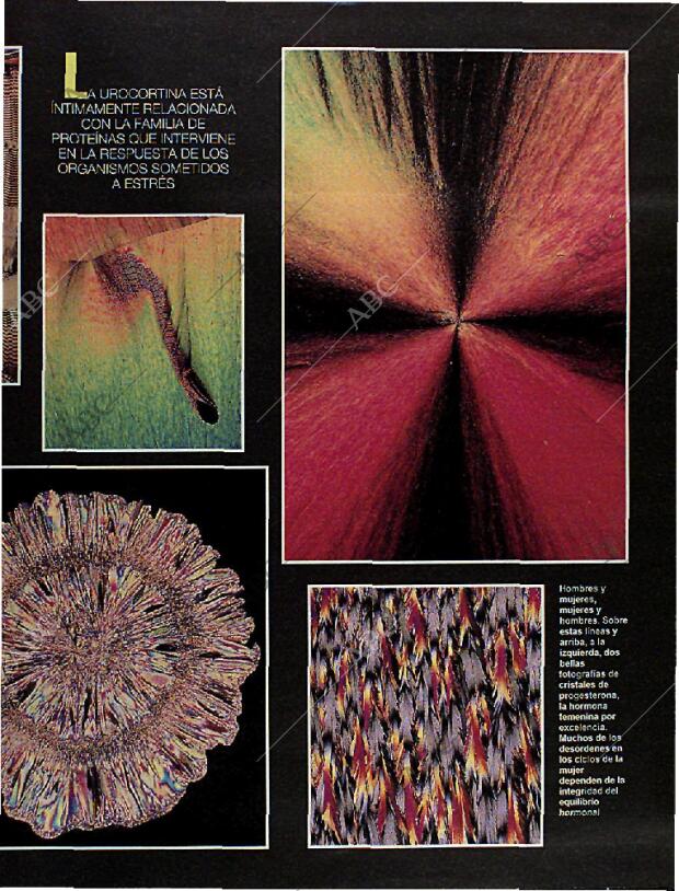 BLANCO Y NEGRO MADRID 06-10-1996 página 21