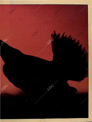 BLANCO Y NEGRO MADRID 06-10-1996 página 65