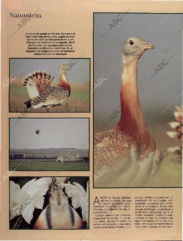 BLANCO Y NEGRO MADRID 06-10-1996 página 66