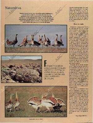 BLANCO Y NEGRO MADRID 06-10-1996 página 68