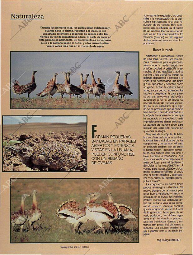 BLANCO Y NEGRO MADRID 06-10-1996 página 68