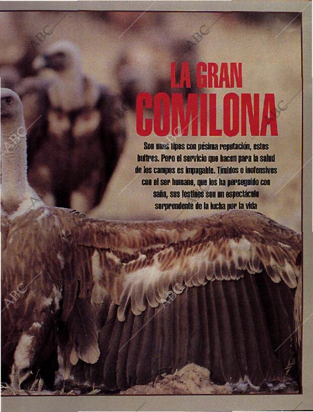 BLANCO Y NEGRO MADRID 13-10-1996 página 65