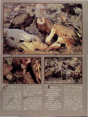 BLANCO Y NEGRO MADRID 13-10-1996 página 66