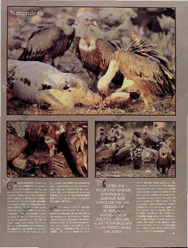 BLANCO Y NEGRO MADRID 13-10-1996 página 66