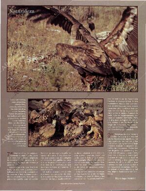 BLANCO Y NEGRO MADRID 13-10-1996 página 68