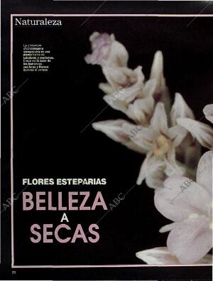 BLANCO Y NEGRO MADRID 10-11-1996 página 70