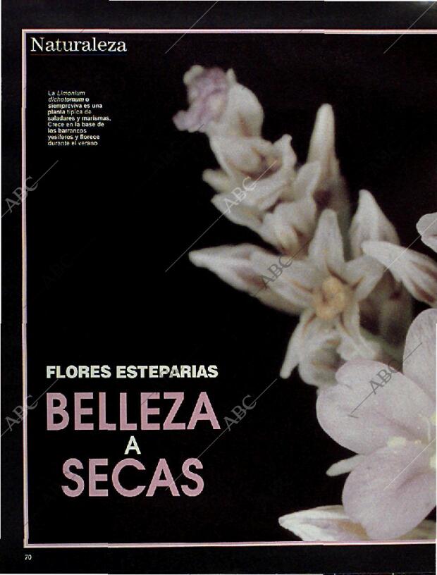 BLANCO Y NEGRO MADRID 10-11-1996 página 70