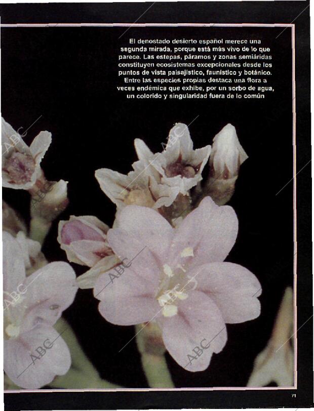 BLANCO Y NEGRO MADRID 10-11-1996 página 71