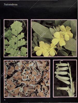 BLANCO Y NEGRO MADRID 10-11-1996 página 72