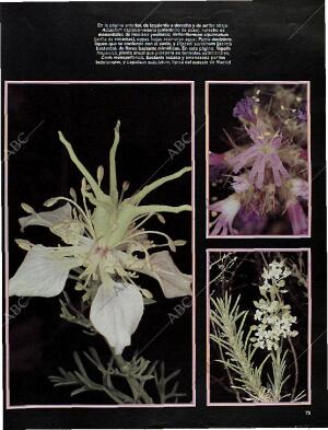 BLANCO Y NEGRO MADRID 10-11-1996 página 73