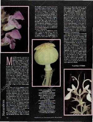 BLANCO Y NEGRO MADRID 10-11-1996 página 74