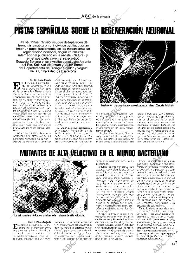 CULTURAL MADRID 10-01-1997 página 55