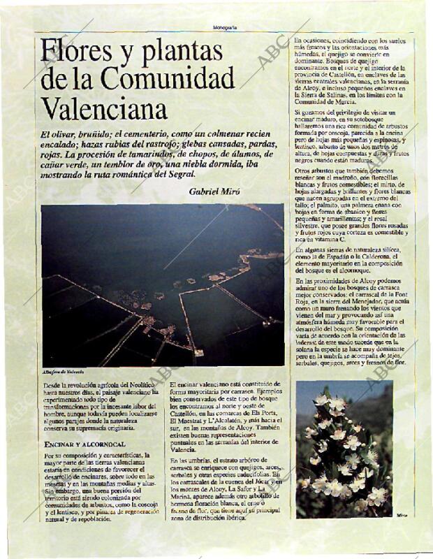 BLANCO Y NEGRO MADRID 02-03-1997 página 90
