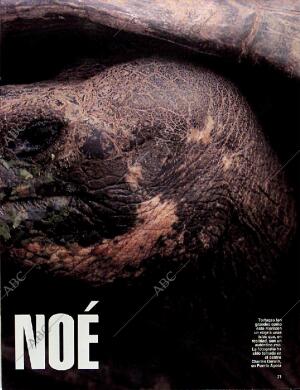 BLANCO Y NEGRO MADRID 09-03-1997 página 71