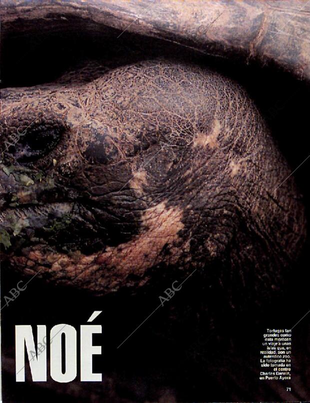 BLANCO Y NEGRO MADRID 09-03-1997 página 71