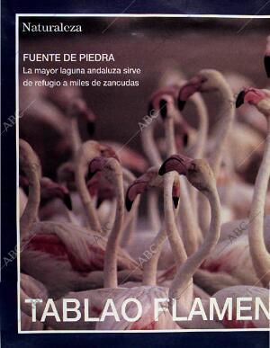 BLANCO Y NEGRO MADRID 11-05-1997 página 82