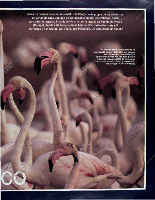 BLANCO Y NEGRO MADRID 11-05-1997 página 83