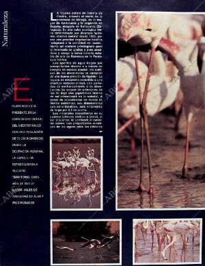 BLANCO Y NEGRO MADRID 11-05-1997 página 84