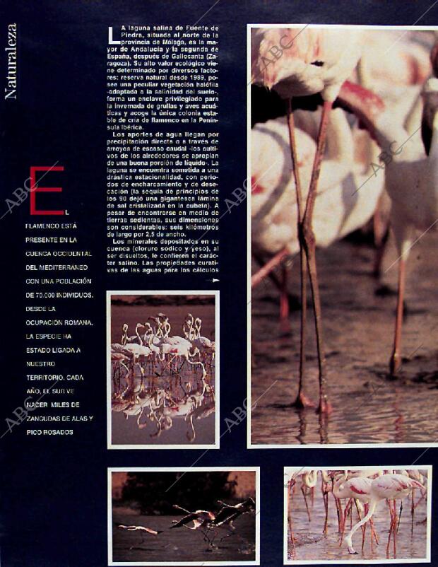 BLANCO Y NEGRO MADRID 11-05-1997 página 84