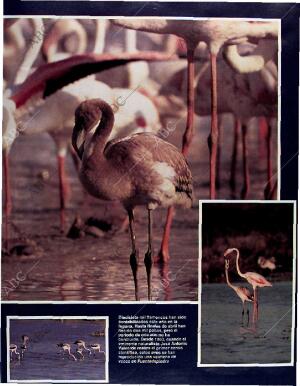 BLANCO Y NEGRO MADRID 11-05-1997 página 85