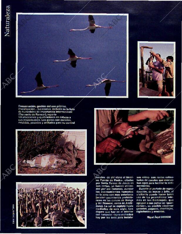 BLANCO Y NEGRO MADRID 11-05-1997 página 86