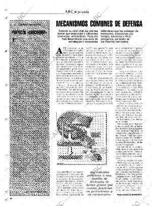 CULTURAL MADRID 30-05-1997 página 64