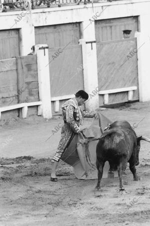 Plaza de toros de Aranjuez: Curro Romero toreando por verónicas en el...