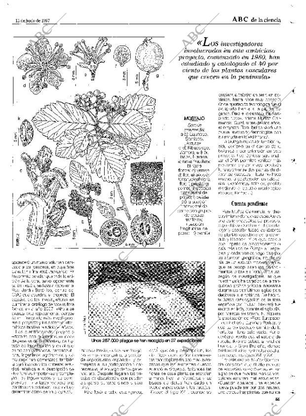 CULTURAL MADRID 13-06-1997 página 55