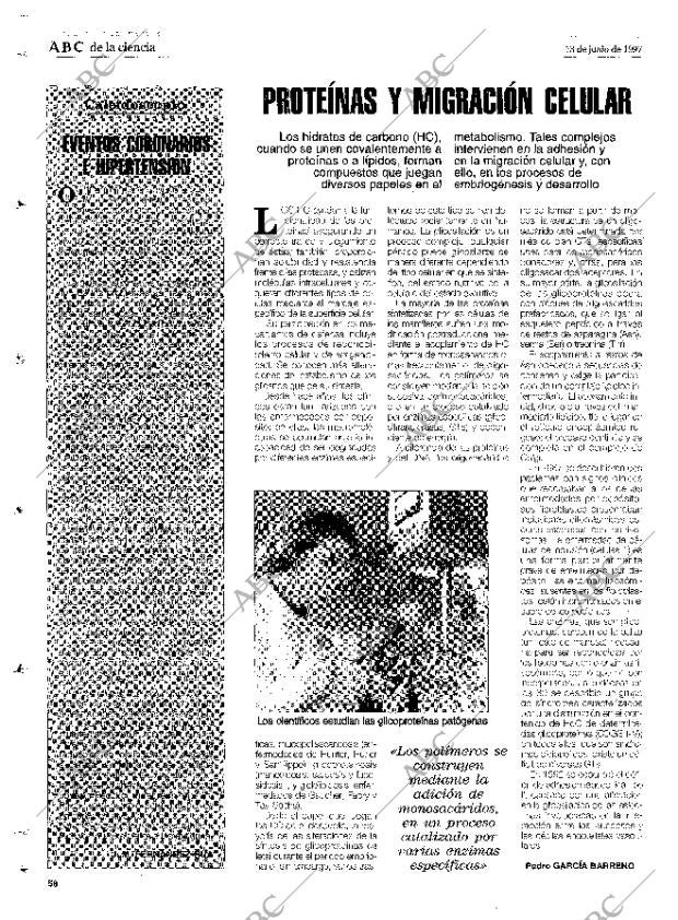 CULTURAL MADRID 13-06-1997 página 58