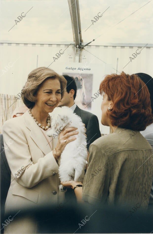 Regalo de un cachorro de perro a su Majestad la Reina Sofía en su visita al Zoo...