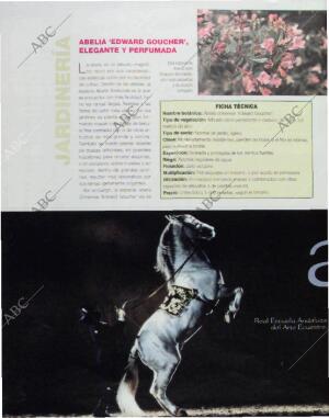 BLANCO Y NEGRO MADRID 12-10-1997 página 96