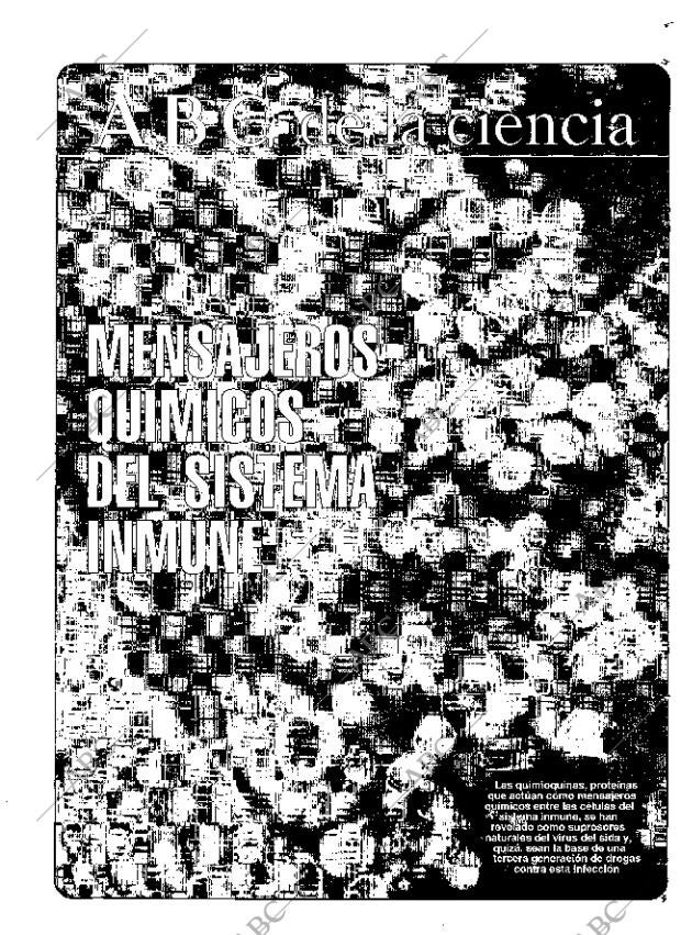 CULTURAL MADRID 26-12-1997 página 43