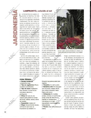 BLANCO Y NEGRO MADRID 05-04-1998 página 80